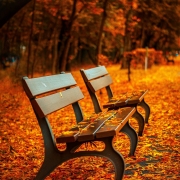 selling your home in the fall-Toronto selling your home in the fall-Toronto
